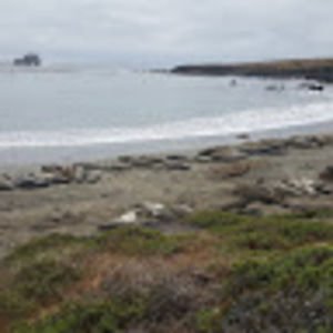 Meet your Posher, Nestor